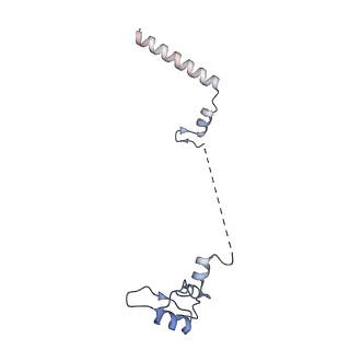 4735_6r6g_W_v1-1
Structure of XBP1u-paused ribosome nascent chain complex with SRP.