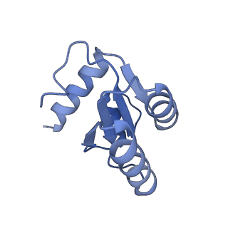4735_6r6g_c_v1-1
Structure of XBP1u-paused ribosome nascent chain complex with SRP.