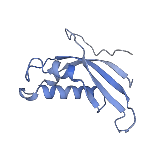 4735_6r6g_d_v1-1
Structure of XBP1u-paused ribosome nascent chain complex with SRP.