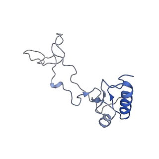 4735_6r6g_e_v1-1
Structure of XBP1u-paused ribosome nascent chain complex with SRP.