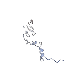 4735_6r6g_j_v1-1
Structure of XBP1u-paused ribosome nascent chain complex with SRP.