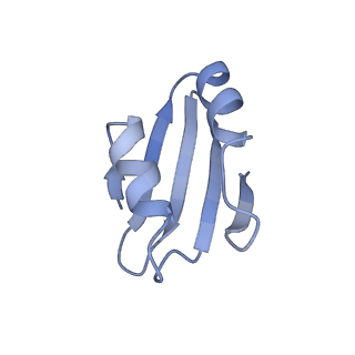 4735_6r6g_k_v1-1
Structure of XBP1u-paused ribosome nascent chain complex with SRP.