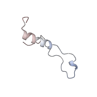 4735_6r6g_l_v1-1
Structure of XBP1u-paused ribosome nascent chain complex with SRP.