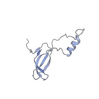 4735_6r6g_o_v1-1
Structure of XBP1u-paused ribosome nascent chain complex with SRP.