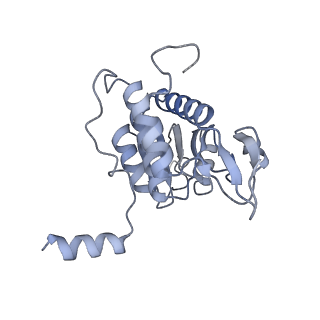 4735_6r6g_q_v1-1
Structure of XBP1u-paused ribosome nascent chain complex with SRP.