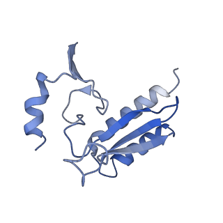 4735_6r6g_r_v1-1
Structure of XBP1u-paused ribosome nascent chain complex with SRP.