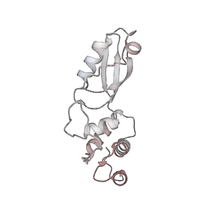 4735_6r6g_t_v1-1
Structure of XBP1u-paused ribosome nascent chain complex with SRP.