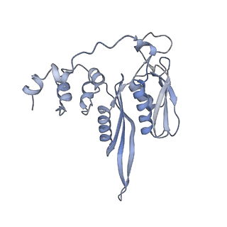4735_6r6g_v_v1-1
Structure of XBP1u-paused ribosome nascent chain complex with SRP.