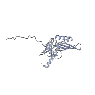 4735_6r6g_w_v1-1
Structure of XBP1u-paused ribosome nascent chain complex with SRP.