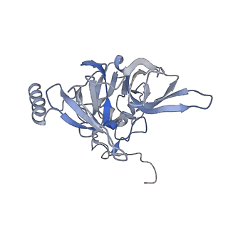 4735_6r6g_x_v1-1
Structure of XBP1u-paused ribosome nascent chain complex with SRP.