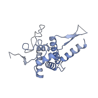 4735_6r6g_y_v1-1
Structure of XBP1u-paused ribosome nascent chain complex with SRP.
