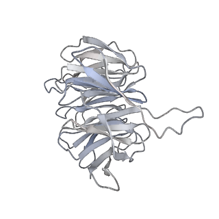 4737_6r6p_6_v1-0
Structure of XBP1u-paused ribosome nascent chain complex (rotated state)
