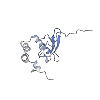 4737_6r6p_9_v1-0
Structure of XBP1u-paused ribosome nascent chain complex (rotated state)