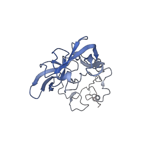4737_6r6p_A_v1-0
Structure of XBP1u-paused ribosome nascent chain complex (rotated state)
