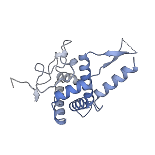 4737_6r6p_BB_v1-0
Structure of XBP1u-paused ribosome nascent chain complex (rotated state)