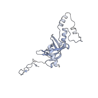4737_6r6p_CC_v1-0
Structure of XBP1u-paused ribosome nascent chain complex (rotated state)