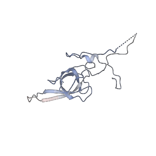 4737_6r6p_EE_v1-0
Structure of XBP1u-paused ribosome nascent chain complex (rotated state)