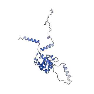 4737_6r6p_G_v1-0
Structure of XBP1u-paused ribosome nascent chain complex (rotated state)