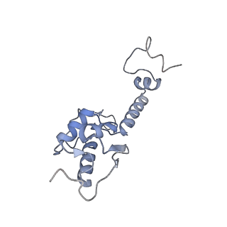 4737_6r6p_II_v1-0
Structure of XBP1u-paused ribosome nascent chain complex (rotated state)