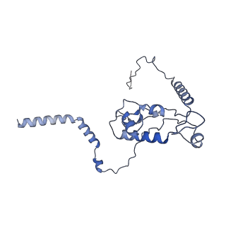 4737_6r6p_L_v1-0
Structure of XBP1u-paused ribosome nascent chain complex (rotated state)