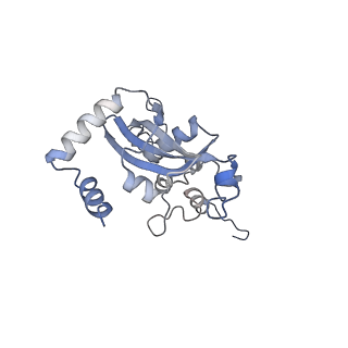 4737_6r6p_N_v1-0
Structure of XBP1u-paused ribosome nascent chain complex (rotated state)