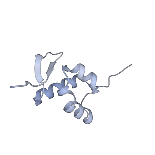 4737_6r6p_OO_v1-0
Structure of XBP1u-paused ribosome nascent chain complex (rotated state)