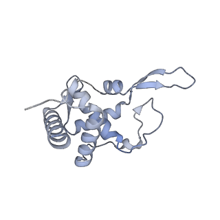 4737_6r6p_PP_v1-0
Structure of XBP1u-paused ribosome nascent chain complex (rotated state)