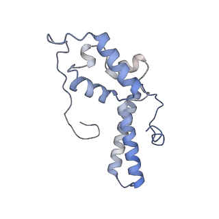 4737_6r6p_QQ_v1-0
Structure of XBP1u-paused ribosome nascent chain complex (rotated state)