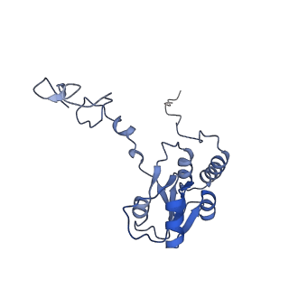 4737_6r6p_Q_v1-0
Structure of XBP1u-paused ribosome nascent chain complex (rotated state)