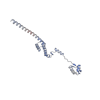 4737_6r6p_R_v1-0
Structure of XBP1u-paused ribosome nascent chain complex (rotated state)