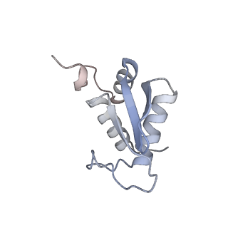 4737_6r6p_SS_v1-0
Structure of XBP1u-paused ribosome nascent chain complex (rotated state)