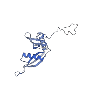 4737_6r6p_S_v1-0
Structure of XBP1u-paused ribosome nascent chain complex (rotated state)
