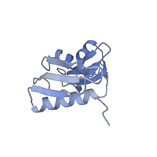 4737_6r6p_TT_v1-0
Structure of XBP1u-paused ribosome nascent chain complex (rotated state)
