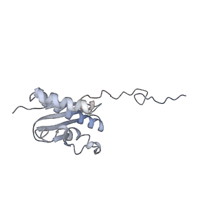 4737_6r6p_UU_v1-0
Structure of XBP1u-paused ribosome nascent chain complex (rotated state)