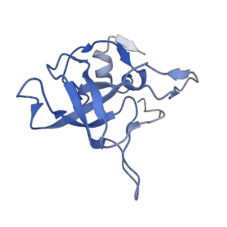 4737_6r6p_V_v1-0
Structure of XBP1u-paused ribosome nascent chain complex (rotated state)