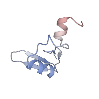 4737_6r6p_W_v1-0
Structure of XBP1u-paused ribosome nascent chain complex (rotated state)