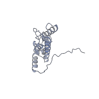 4737_6r6p_XX_v1-0
Structure of XBP1u-paused ribosome nascent chain complex (rotated state)