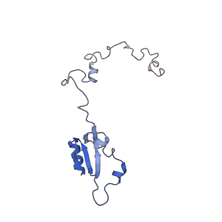 4737_6r6p_a_v1-0
Structure of XBP1u-paused ribosome nascent chain complex (rotated state)