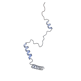 4737_6r6p_b_v1-0
Structure of XBP1u-paused ribosome nascent chain complex (rotated state)