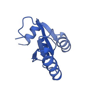 4737_6r6p_c_v1-0
Structure of XBP1u-paused ribosome nascent chain complex (rotated state)