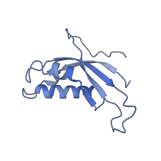 4737_6r6p_d_v1-0
Structure of XBP1u-paused ribosome nascent chain complex (rotated state)