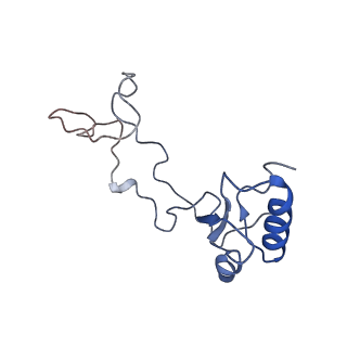 4737_6r6p_e_v1-0
Structure of XBP1u-paused ribosome nascent chain complex (rotated state)