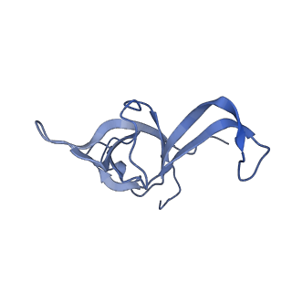 4737_6r6p_f_v1-0
Structure of XBP1u-paused ribosome nascent chain complex (rotated state)