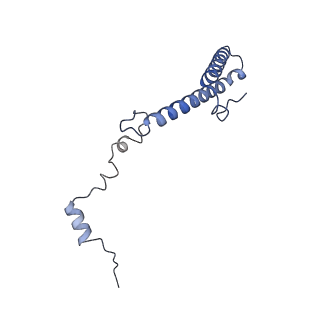 4737_6r6p_h_v1-0
Structure of XBP1u-paused ribosome nascent chain complex (rotated state)