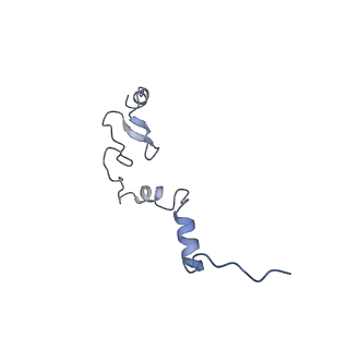 4737_6r6p_j_v1-0
Structure of XBP1u-paused ribosome nascent chain complex (rotated state)