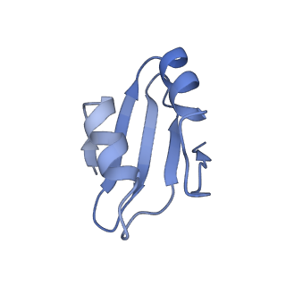 4737_6r6p_k_v1-0
Structure of XBP1u-paused ribosome nascent chain complex (rotated state)