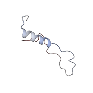 4737_6r6p_l_v1-0
Structure of XBP1u-paused ribosome nascent chain complex (rotated state)