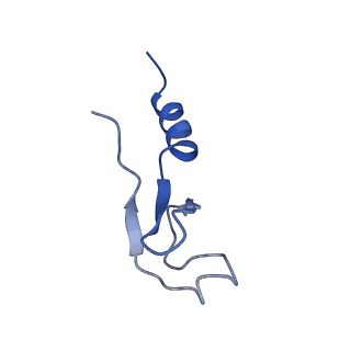 4737_6r6p_m_v1-0
Structure of XBP1u-paused ribosome nascent chain complex (rotated state)