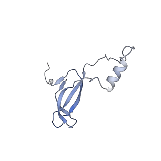 4737_6r6p_o_v1-0
Structure of XBP1u-paused ribosome nascent chain complex (rotated state)