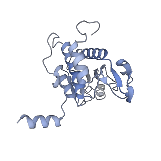 4737_6r6p_q_v1-0
Structure of XBP1u-paused ribosome nascent chain complex (rotated state)